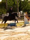 DSC08342 DSC08342