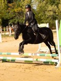 DSC08346 DSC08346