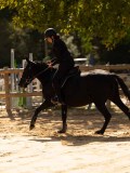 DSC08349 DSC08349