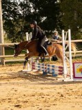 DSC07684 DSC07684