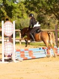 DSC07685 DSC07685