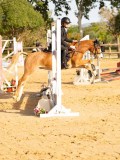 DSC07686 DSC07686