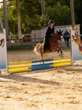 DSC07687 DSC07687