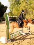 DSC07690 DSC07690