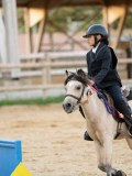 DSC07244 DSC07244