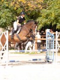 DSC08853 DSC08853