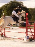 DSC00334 DSC00334