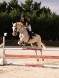 DSC00335 DSC00335