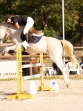 DSC00337 DSC00337