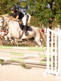 DSC00338 DSC00338