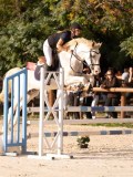 DSC00340 DSC00340
