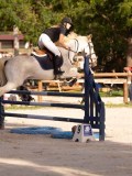 DSC00342 DSC00342
