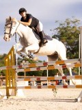 DSC00343 DSC00343