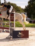 DSC00344 DSC00344