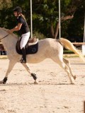 DSC00345 DSC00345