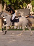 DSC00346 DSC00346