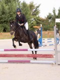 DSC06744 DSC06744