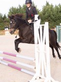 DSC06745 DSC06745