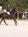 DSC06750 DSC06750