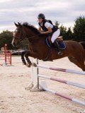 DSC00475 DSC00475