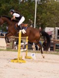 DSC00476 DSC00476