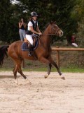 DSC00479 DSC00479