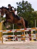 DSC00483 DSC00483