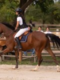 DSC00486 DSC00486