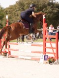 DSC08650 DSC08650