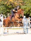 DSC08655 DSC08655