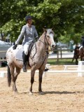 IMG_6589 IMG_6589