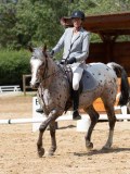 IMG_6591 IMG_6591