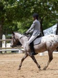 IMG_6594 IMG_6594