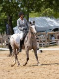 IMG_6595 IMG_6595