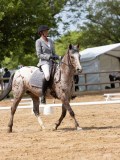 IMG_6599 IMG_6599