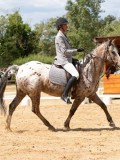 IMG_6606 IMG_6606