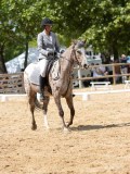 IMG_6616 IMG_6616