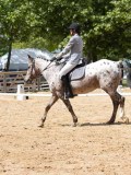 IMG_6621 IMG_6621