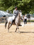 IMG_6624 IMG_6624