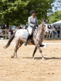 IMG_6626 IMG_6626