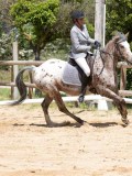 IMG_6629 IMG_6629