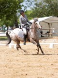 IMG_6633 IMG_6633