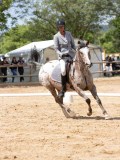 IMG_6636 IMG_6636