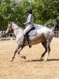 IMG_6640 IMG_6640