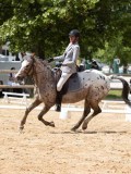 IMG_6653 IMG_6653