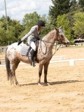 IMG_6659 IMG_6659
