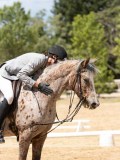 IMG_6661 IMG_6661