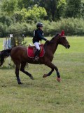 IMG_4015 IMG_4015