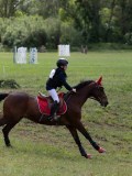 IMG_4016 IMG_4016
