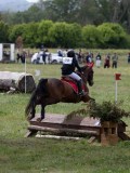 IMG_4018 IMG_4018